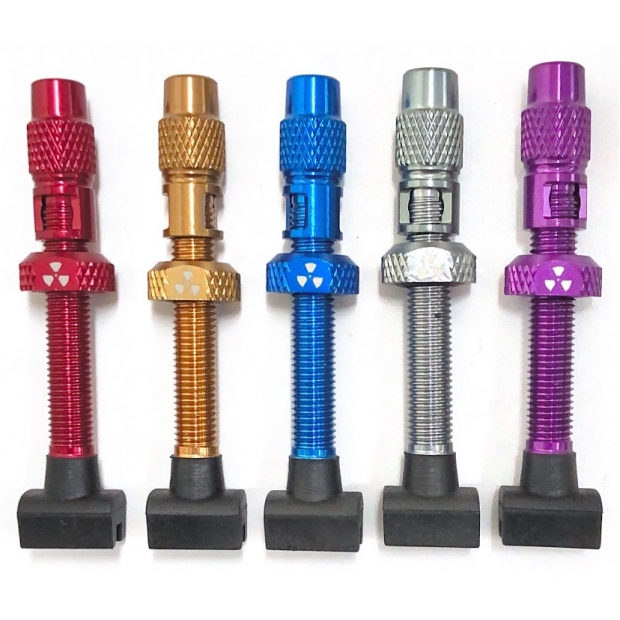 無內胎法式自行車氣門嘴