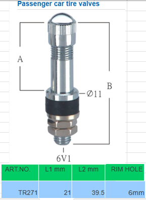 WH271 Passenger car tire valves