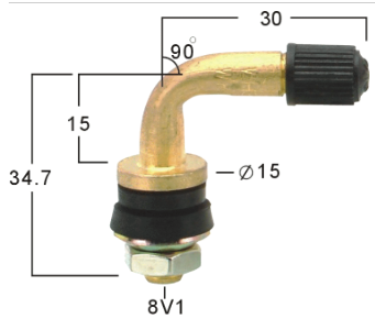 WH302 Passenger car tire valves 