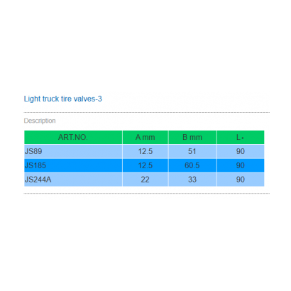 JS89尺寸圖light truck - valves-3.png